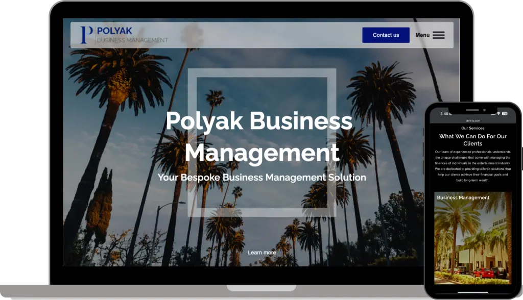 Polyak Business Management consulting website design case study